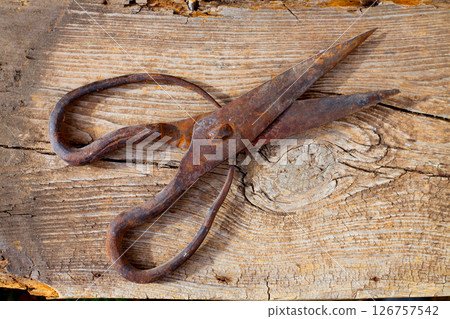 Antique sheep wool shears scissors vintage rusted Antique sheep wool shears scissors vintage rusted 126757542