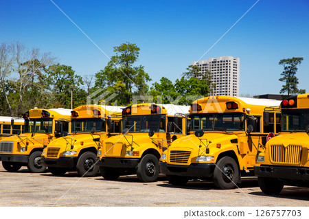 American typical school buses row in a parking lot 126757703