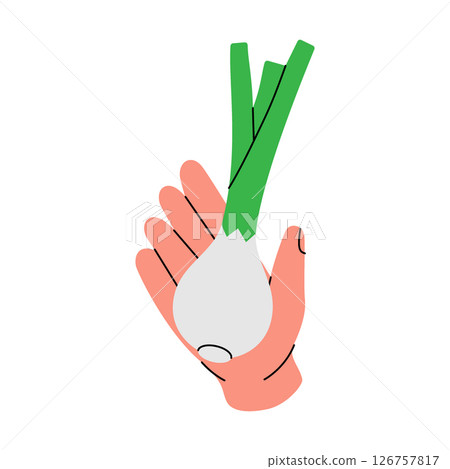 Hand holding a fresh onion. Healthy eating, vegan food and organic lifestyle concept. Organic farm vegetable. Vector illustration. Hand holding a fresh onion. Healthy eating, vegan food and organic lifestyle concept. Organic farm vegetable. Vector illustration. 126757817
