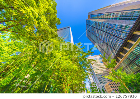 Tokyo cityscape in Japan, overlooking Otemachi Forest. A business district shining with fresh greenery... heading towards a new era... = 28th Tokyo cityscape in Japan, overlooking Otemachi Forest. A business district shining with fresh greenery... heading towards a new era... = 28th 126757930