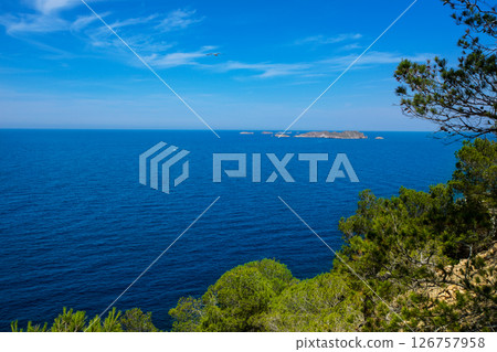 cala Vedella Vadella Ibiza island Mediterranean sea cala Vedella Vadella Ibiza island Mediterranean sea 126757958