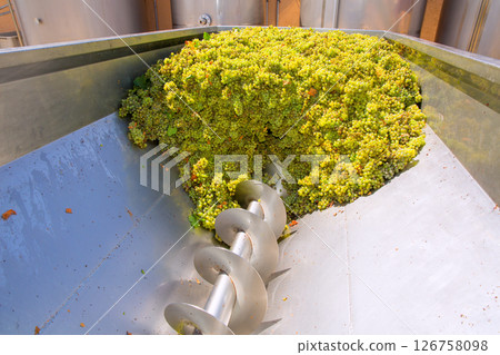 chardonnay corkscrew crusher destemmer in winemaking chardonnay corkscrew crusher destemmer in winemaking 126758098
