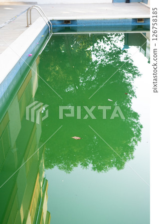 Swimming pool with dirty green water close-up. Swimming pool with dirty green water close-up. 126758185