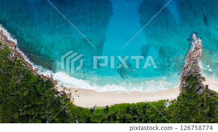 Top view showing a white sandy beach with turquoise water and dense green foliage along the shore. Seychelles, La Digue. Top view showing a white sandy beach with turquoise water and dense green foliage along the shore. Seychelles, La Digue. 126758774