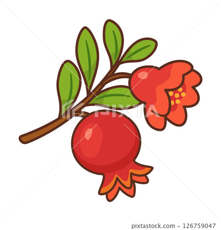 Pomegranate branch with fruit and bright red flower. Hand drawn flat style with bold outlines 126759047