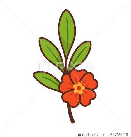 Pomegranate branch with bright red flower. Hand drawn flat style with bold outlines 126759048