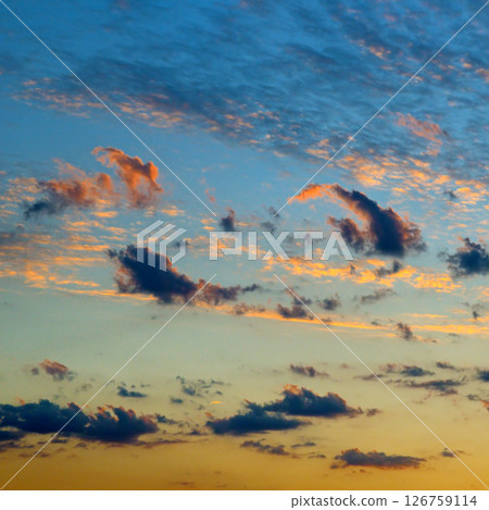 Sunset (Sunrise) sky with light clouds. 126759114