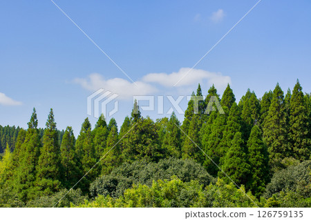 Ridgeline of mountain of fresh green Ridgeline of mountain of fresh green 126759135