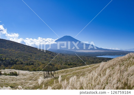 [Yamanashi Prefecture] Mt. Fuji as seen from Lake Yamanaka Panorama Deck 126759184