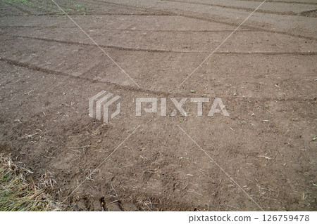 An unplanted field An unplanted field 126759478