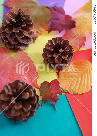 Pine cones and autumn leaves (autumn image) 126759662