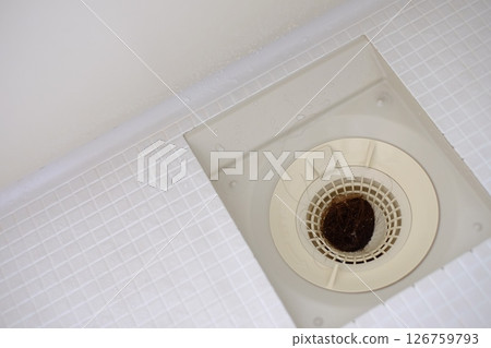 Hair loss from the bathroom drain Hair loss from the bathroom drain 126759793