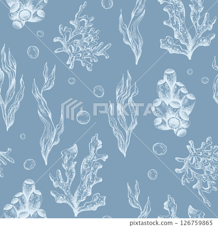 Marine underwater clip art with shells, sea sponges, corals, starfish, pebbles, seaweed, fish, bubbles. Graphic illustration hand drawn in white ink. Seamless pattern on a blue background EPS vector Marine underwater clip art with shells, sea sponges, corals, starfish, pebbles, seaweed, fish, bubbles. Graphic illustration hand drawn in white ink. Seamless pattern on a blue background EPS vector 126759865