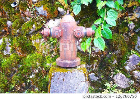 Fire hydrant, Ogimachi Gassho-style village, World Heritage Site, Shirakawa-go, thatched roof 126760750