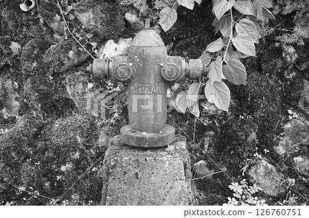 Fire hydrant, Ogimachi Gassho-style village, World Heritage Site, Shirakawa-go, thatched roof 126760751