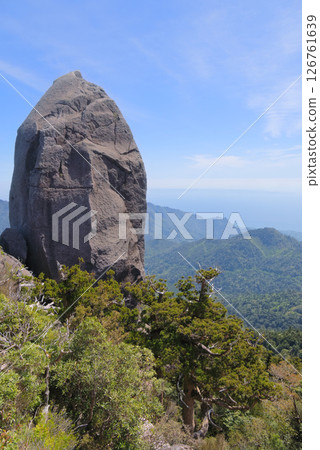 屋久島多中山頂的天壽石 126761639