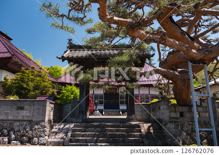 長福寺：山門和松樹 126762076