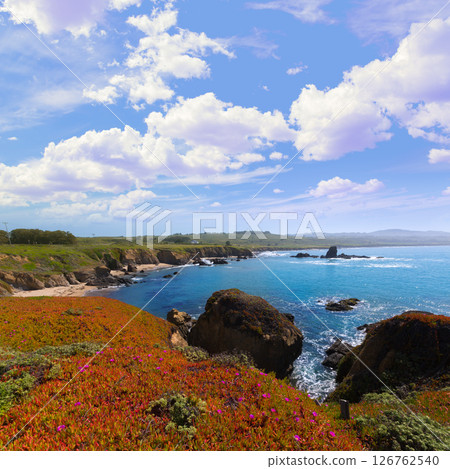 California Pigeon point beach in Cabrillo Hwy coastal hwy 1 126762540