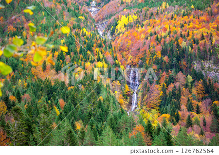 Autumn Bujaruelo Ordesa waterfal in colorful fall forest Huesca Autumn Bujaruelo Ordesa waterfal in colorful fall forest Huesca 126762564