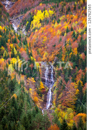 Autumn Bujaruelo Ordesa waterfal in colorful fall forest Huesca Autumn Bujaruelo Ordesa waterfal in colorful fall forest Huesca 126762565
