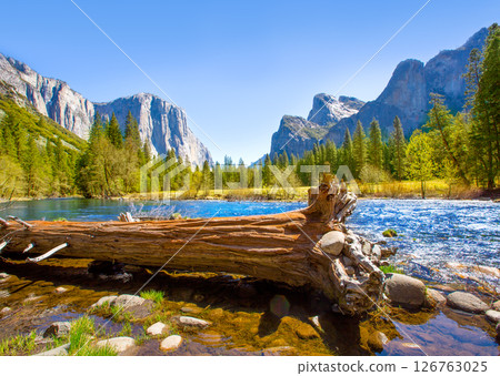 Yosemite Merced River el Capitan and Half Dome 126763025