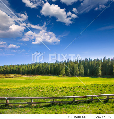 Yosemite meadows and forest in California 126763029