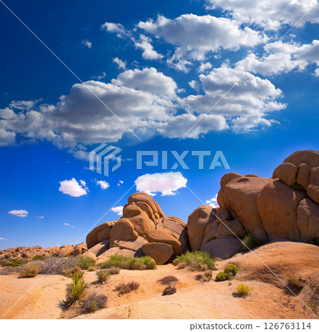 Skull rock in Joshua tree National Park Mohave California 126763114