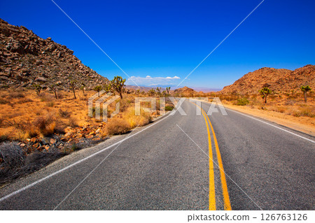 Joshua Tree boulevard Road in Yucca Valley desert California Joshua Tree boulevard Road in Yucca Valley desert California 126763126