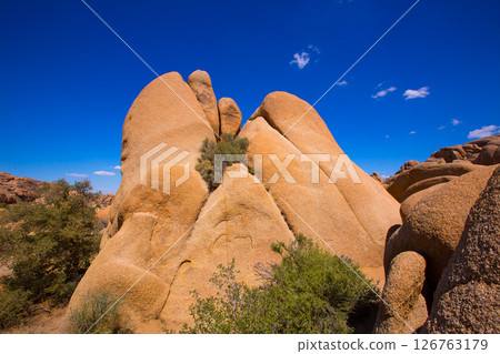 Skull rock in Joshua tree National Park Mohave California 126763179