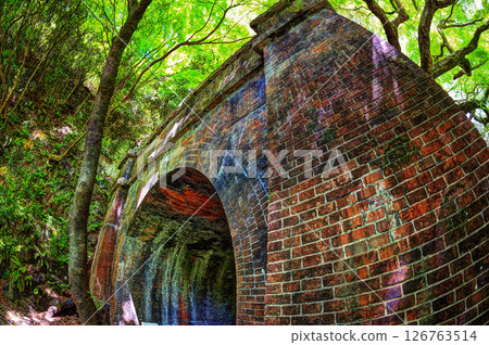 抬頭看隧道裡的新綠 126763514