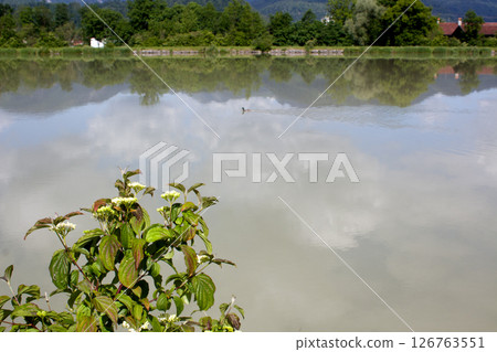 Calm water reflections at Ebbs Inn in Tyrol during a sunny day with scenic greenery and a serene atmosphere 126763551