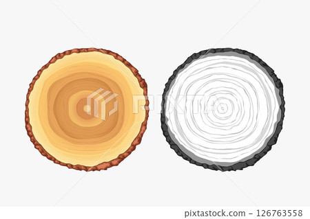 tree slice realistic design on white back tree slice realistic design on white back 126763558