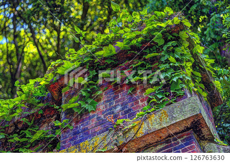 Ivy-covered brick tunnel 126763630