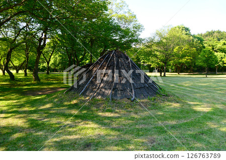 World Heritage Goshono Ruins: Pit dwellings in a Jomon village in Ichinohe, Iwate Prefecture World Heritage Goshono Ruins: Pit dwellings in a Jomon village in Ichinohe, Iwate Prefecture 126763789