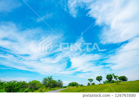Blue sky and prairie 126763880