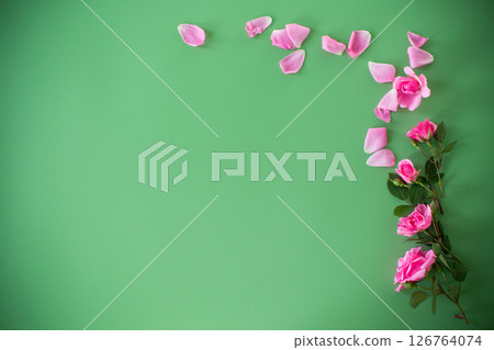 Branches of pink roses on a green background from above 126764074