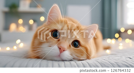 A cute orange cat lies on a cozy bed, gazing curiously at the camera with big, expressive eyes, surrounded by softly glowing fairy lights, creating a warm and inviting atmosphere. 126764332