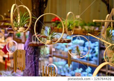 以空中圓形年輪中懸掛植物為背景展示,在一家看起來柔和的植物商店中,陳列在裝飾有日本圖案的現代房間中。 以空中圓形年輪中懸掛植物為背景展示,在一家看起來柔和的植物商店中,陳列在裝飾有日本圖案的現代房間中。 126764420