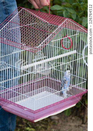 A small blue bird in a pink and white cage being held outdoors. 126764512