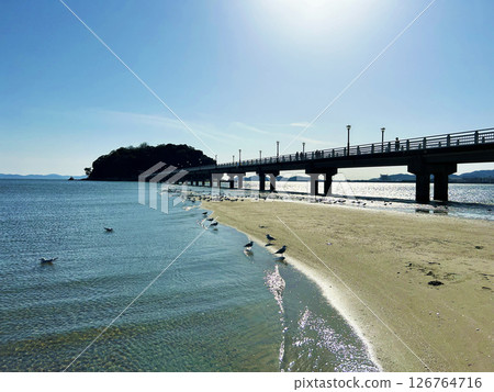 美麗的海灘和竹島 126764716