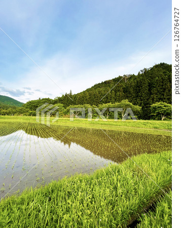 Blue sky and countryside Blue sky and countryside 126764727