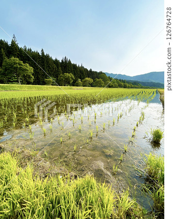 Vast countryside Vast countryside 126764728