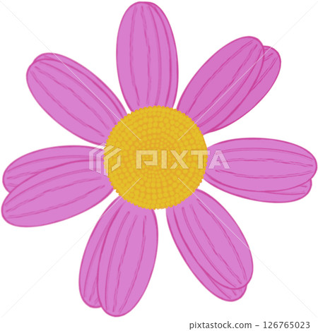 Beautiful shape and colors of purple blossom flower petals. Beautiful shape and colors of purple blossom flower petals. 126765023