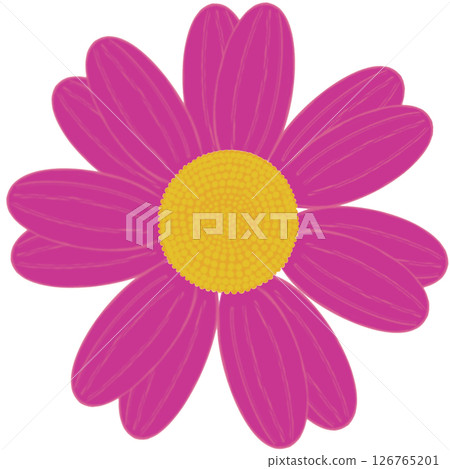 Beautiful shape and colors of purple blossom flower petals. Beautiful shape and colors of purple blossom flower petals. 126765201