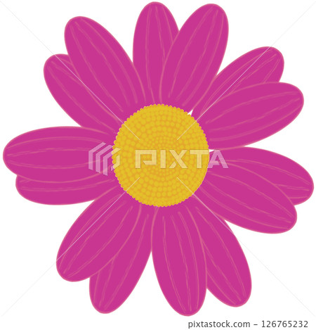 Beautiful shape and colors of purple blossom flower petals. Beautiful shape and colors of purple blossom flower petals. 126765232