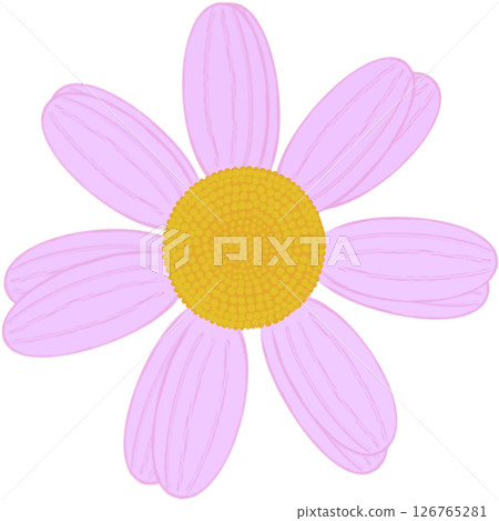 Beautiful shape and colors of pink blossom flower petals. 126765281