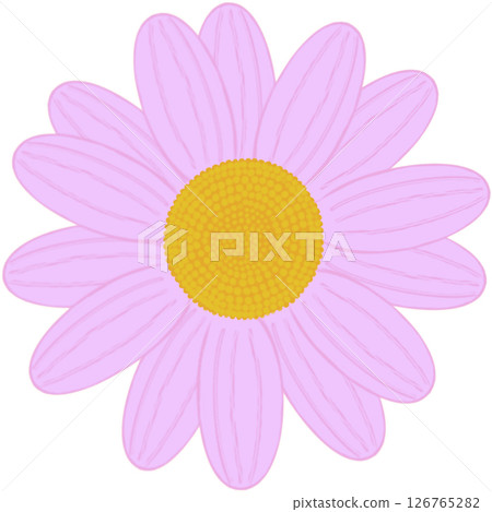 Beautiful shape and colors of pink blossom flower petals. 126765282