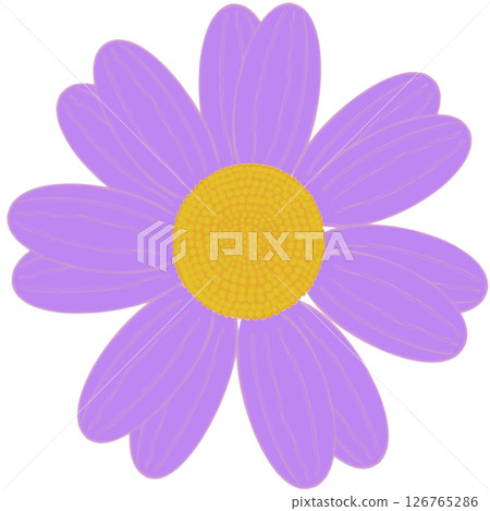 Beautiful shape and colors of purple blossom flower petals. Beautiful shape and colors of purple blossom flower petals. 126765286