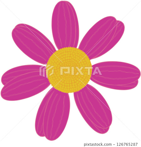 Beautiful shape and colors of purple blossom flower petals. 126765287