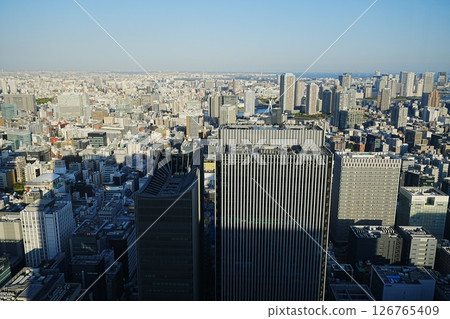 Tokyo cityscape, Tokyo, Japan 126765409